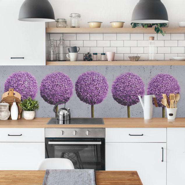 Küchenrückwände Blumen Allium Kugel-Blüten I