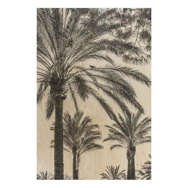 Holzbild Blumen Palmen im Sonnenuntergang Schwarz-Weiß