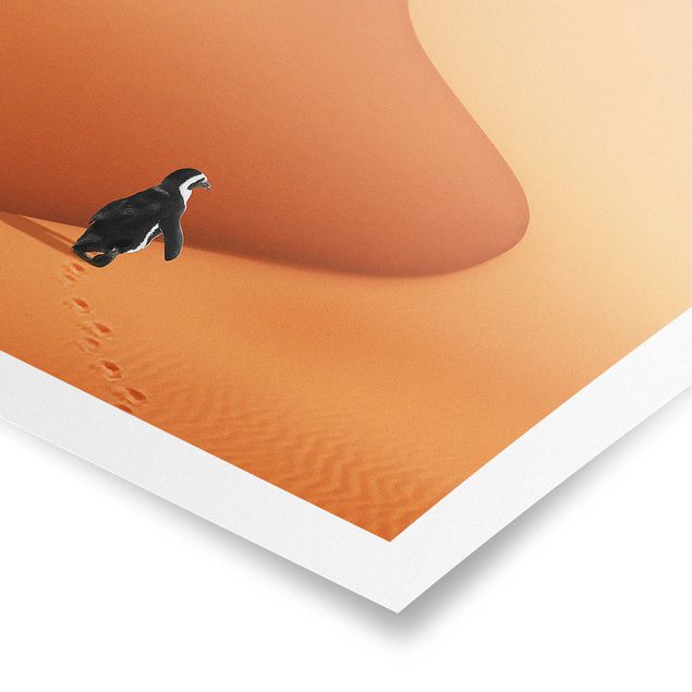 Poster Natur Wüste mit Pinguin