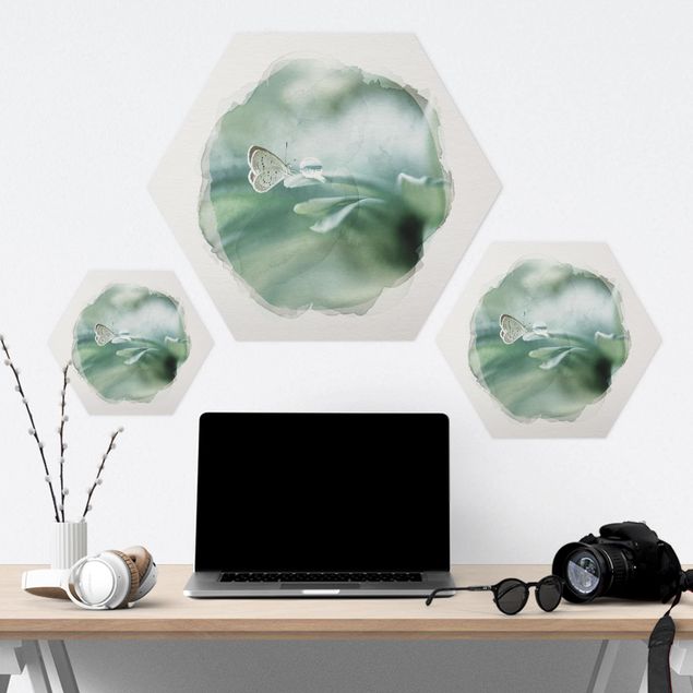 Hexagon Bilder Wasserfarben - Schmetterling und Tautropfen in Pastellgrün