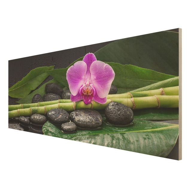 Uta Naumann Bilder Grüner Bambus mit Orchideenblüte