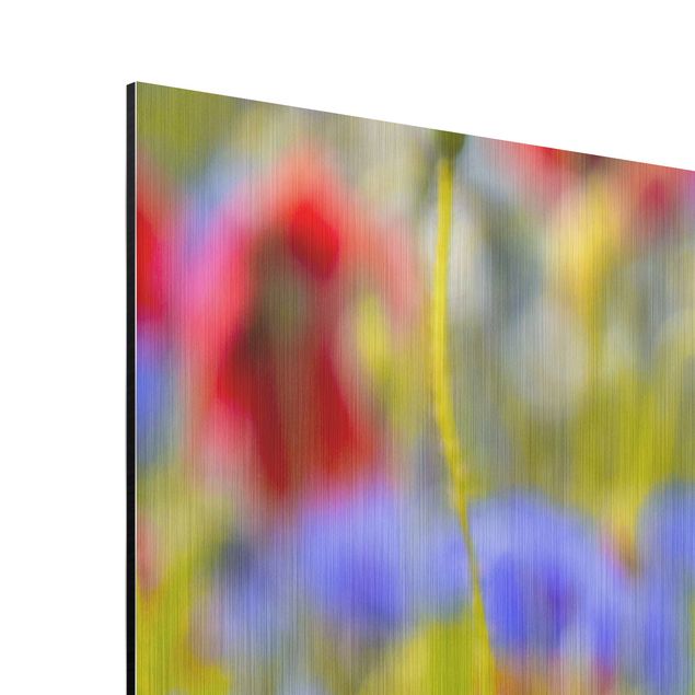 Wandbilder Kunstdrucke Sommerwiese mit Mohn und Kornblumen