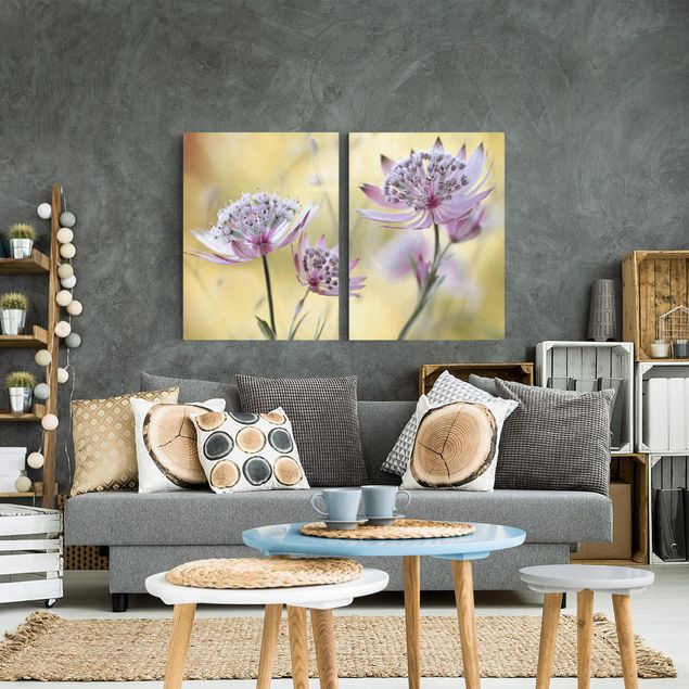 Wandbilder Floral Astrantia Major
