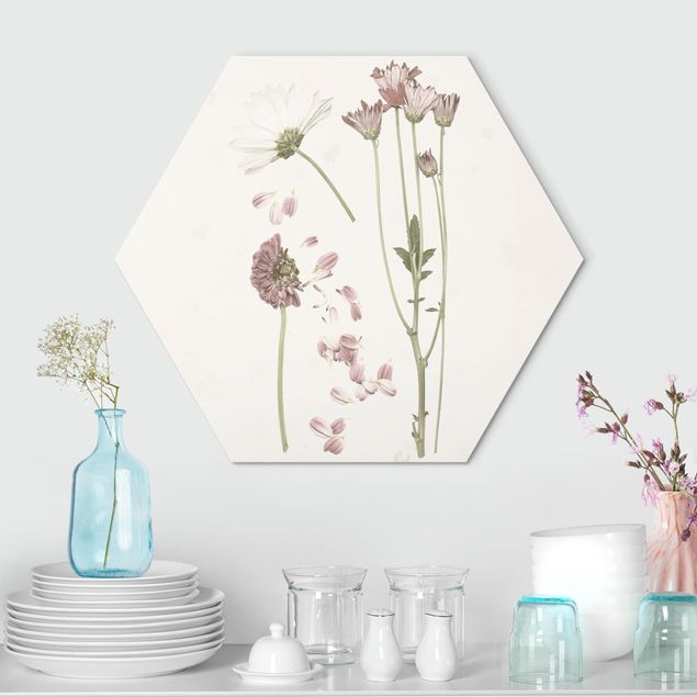 Wandbilder Floral Herbarium in rosa II