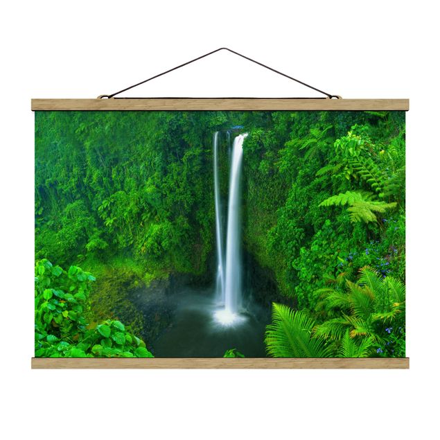 Wandbilder Dschungel Paradiesischer Wasserfall