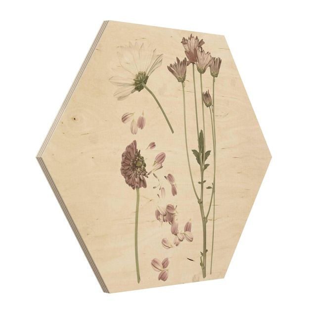 Bilder Herbarium in rosa II