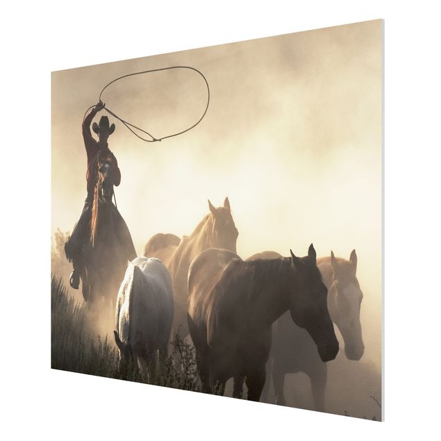 Wandbilder Modern Cowboy Silhouette