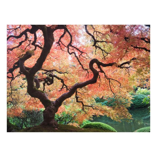 Wandbilder Bäume Japanischer Garten
