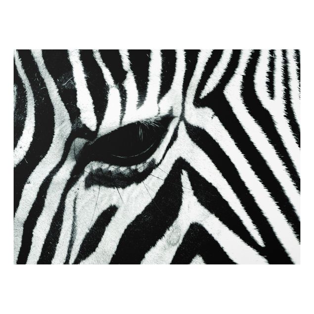 Wandbilder Zebras Zebra Crossing No.2