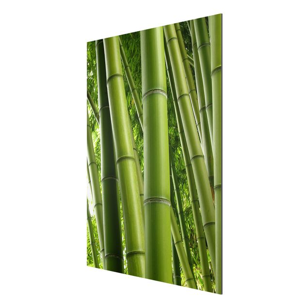 Wandbilder Bambus Bamboo Trees No.1