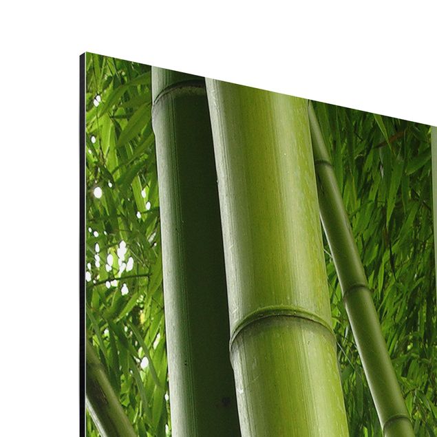 Wandbilder Natur Bamboo Trees No.1
