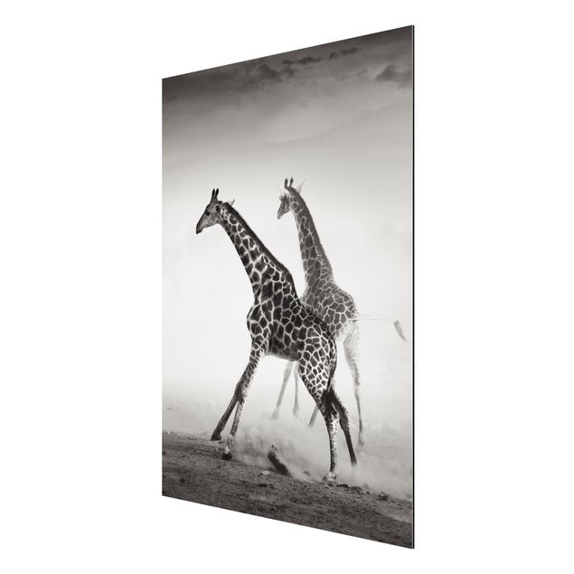 Wandbilder Modern Giraffenjagd