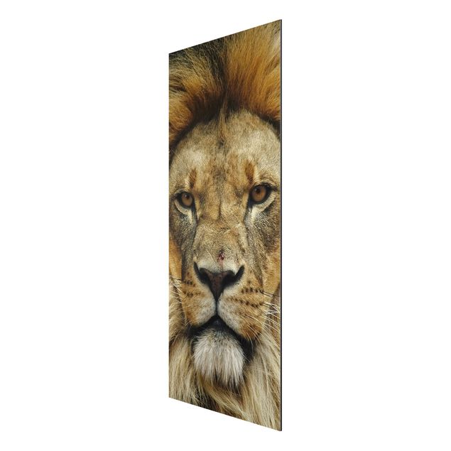 Wandbilder Modern Wisdom of Lion