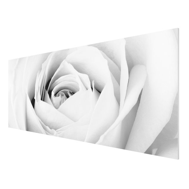 Wandbilder Blumen Close Up Rose