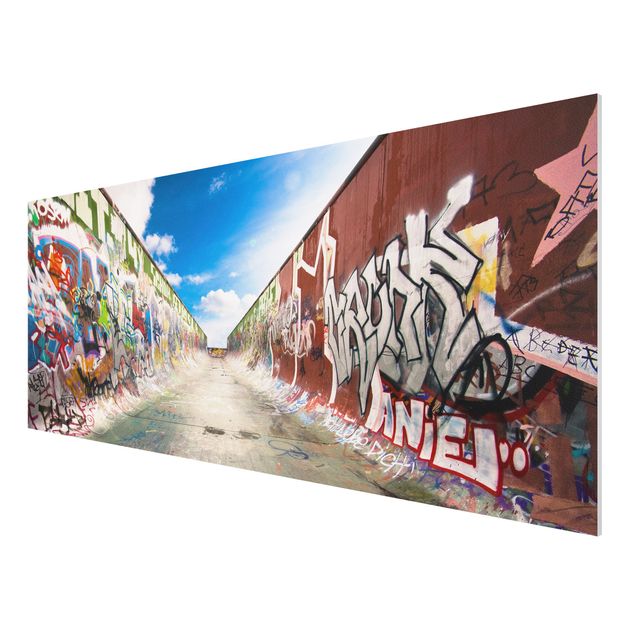 Wandbilder Sport Skate Graffiti