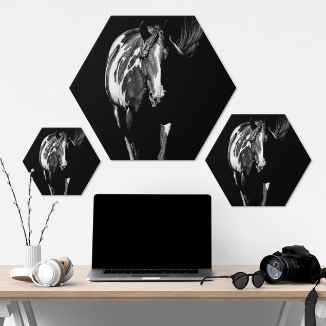 Hexagon Bild Alu-Dibond - Pferd vor Schwarz