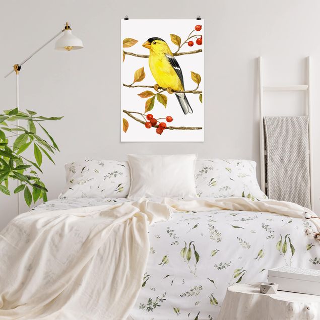 Poster Vintage Vögel und Beeren - Goldzeisig