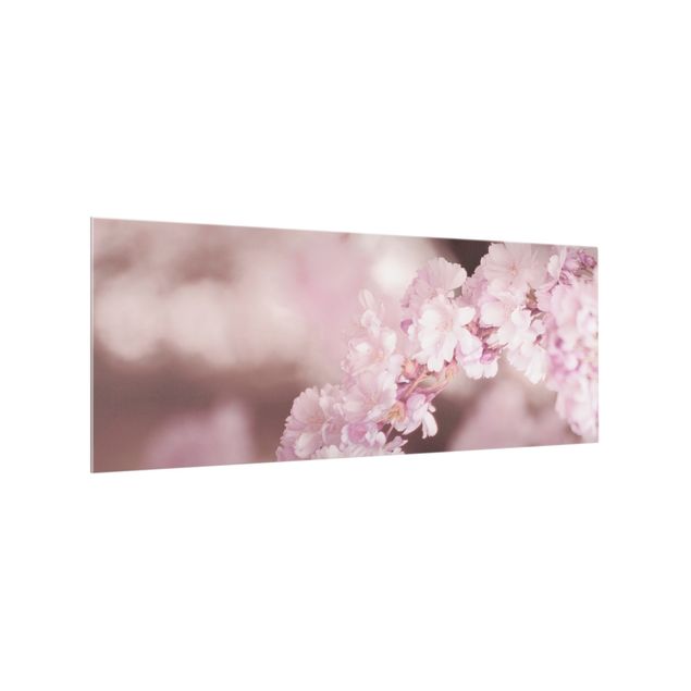 Glasrückwand Küche Kirschblüte im Violetten Licht