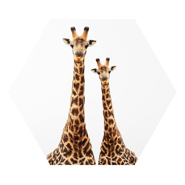 Foto auf Hartschaumplatte Portait Zweier Giraffen