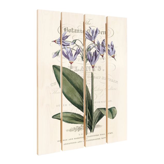 Bilder auf Holz Botanisches Tableau - Götterblume