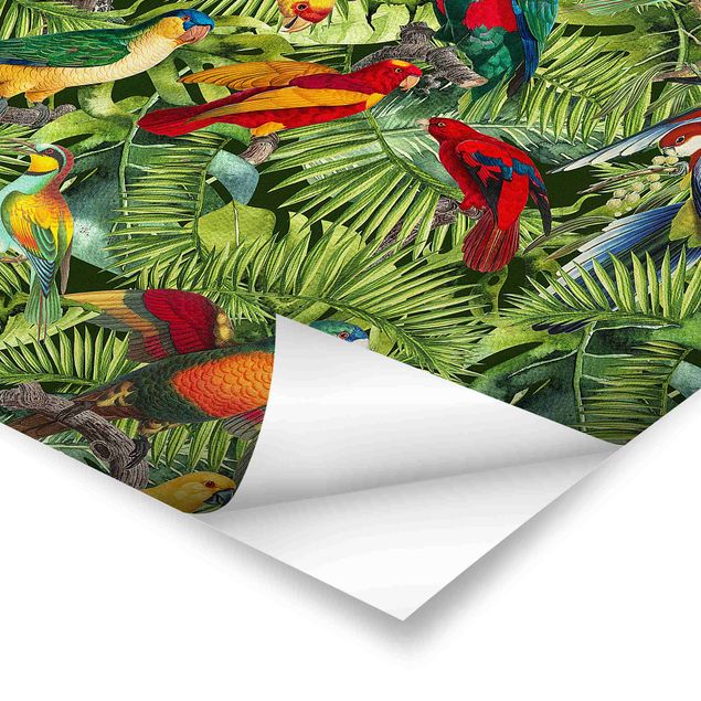 Bilder Andrea Haase Bunte Collage - Papageien im Dschungel