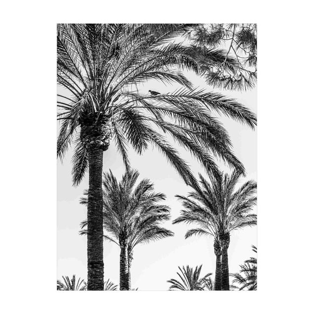 Teppich Dschungel Palmen im Sonnenuntergang Schwarz-Weiß