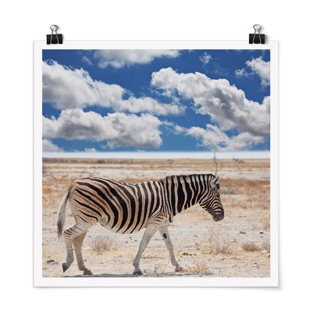 Wandbilder Landschaften Zebra in der Savanne