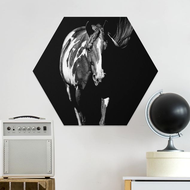 Wandbilder Pferde Pferd vor Schwarz