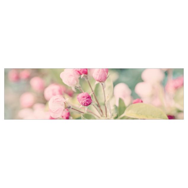 Küchenrückwand Folie Apfelblüte Bokeh rosa