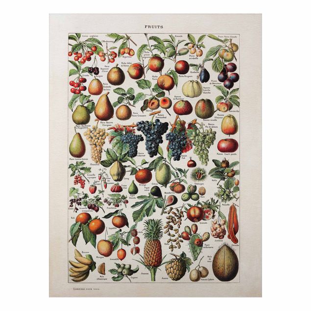 Wandbilder Früchte Vintage Lehrtafel Früchte