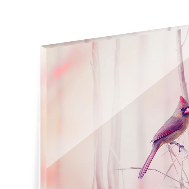 Spritzschutz Glas - Vögel auf Zweigen - Panorama - 5:2