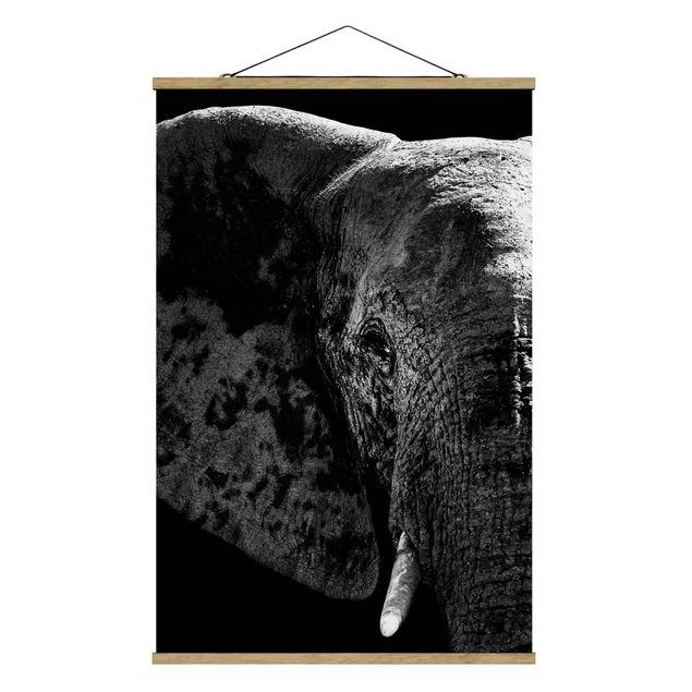 Wandbilder Modern Afrikanischer Elefant schwarz-weiß