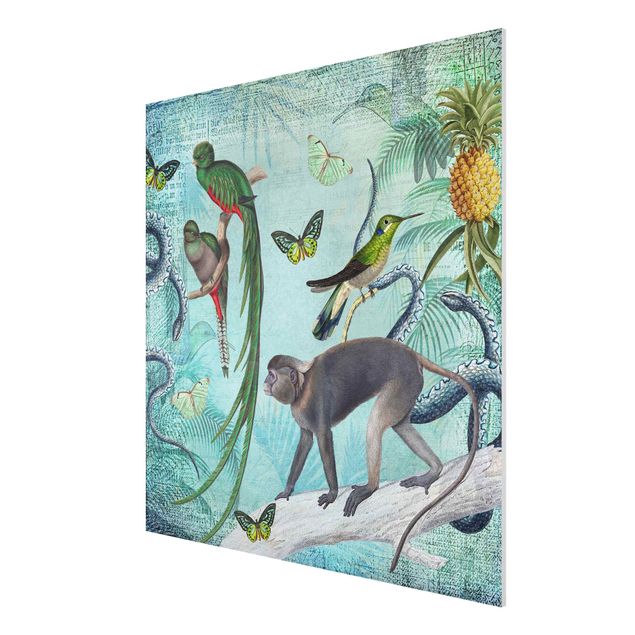 Wandbilder Floral Colonial Style Collage - Äffchen und Paradiesvögel