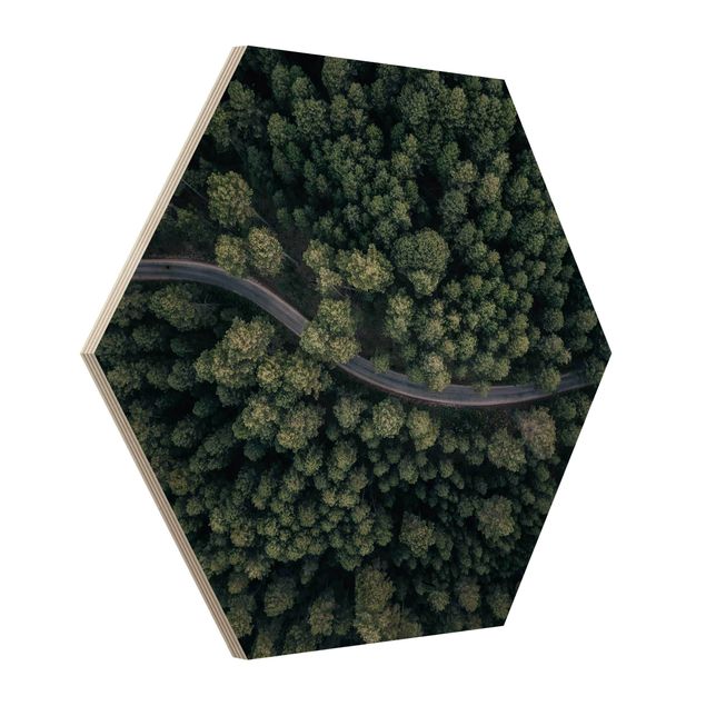 Bilder auf Holz Luftbild - Waldstraße von Oben