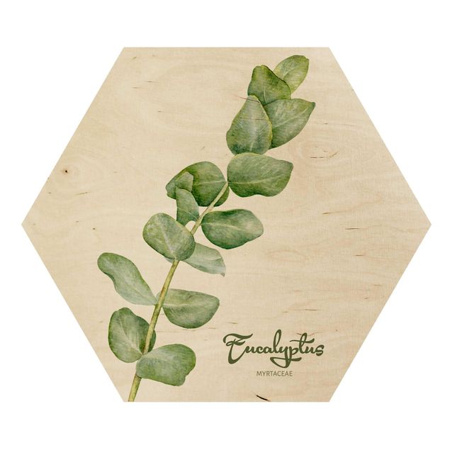 Bilder auf Holz Aquarell Botanik Eukalyptus