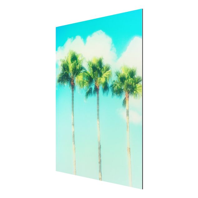 Wandbilder Floral Palmen vor Himmel Blau