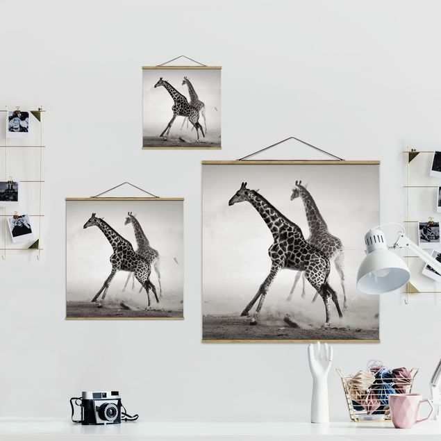 Wandbilder Modern Giraffenjagd