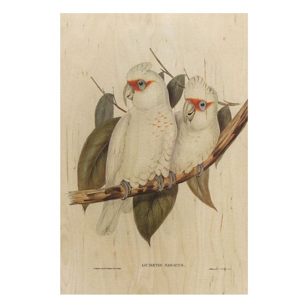 Holzbild Blumen Vintage Illustration Weißer Kakadu