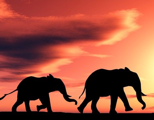 selbstklebende Klebefolie Savannah Elefant Family