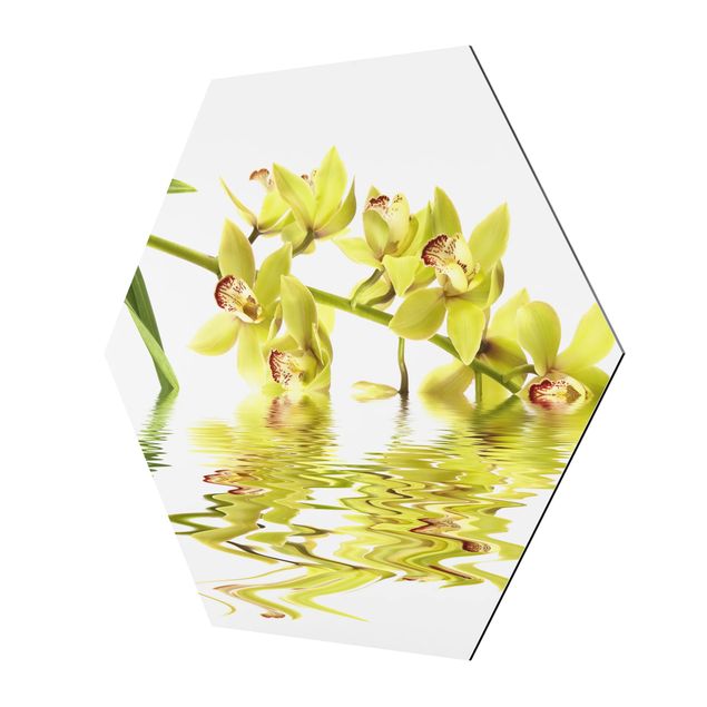 Bilder Elegant Orchid Waters