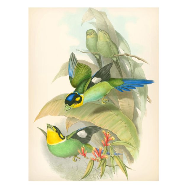 Magnettafeln Blumen Vintage Illustration Tropische Vögel