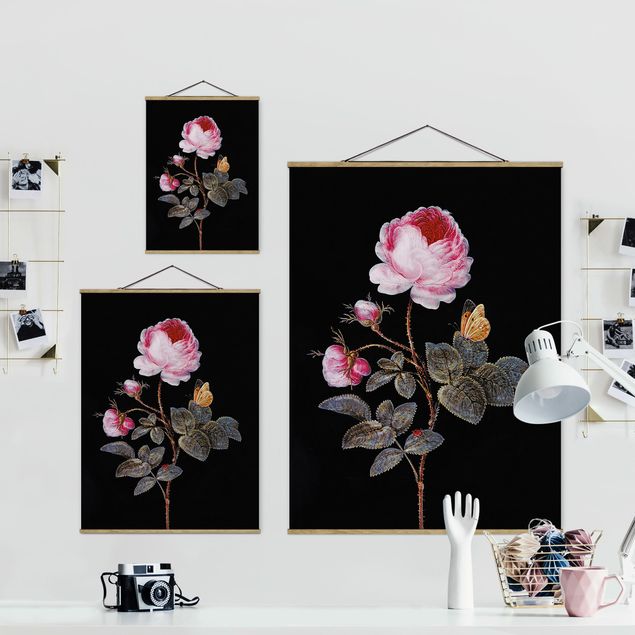 Wandbilder Blumen Barbara Regina Dietzsch - Die hundertblättrige Rose