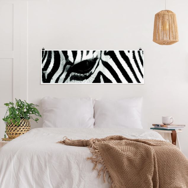 Poster schwarz-weiß Zebra Crossing