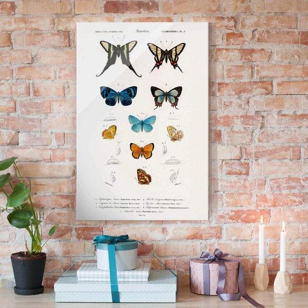Wanddeko Küche Vintage Lehrtafel Schmetterlinge I