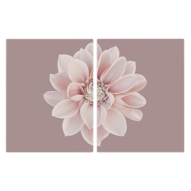 Herdabdeckplatte Glas - Dahlie Blume Lavendel Weiß Rosa - 52x80cm