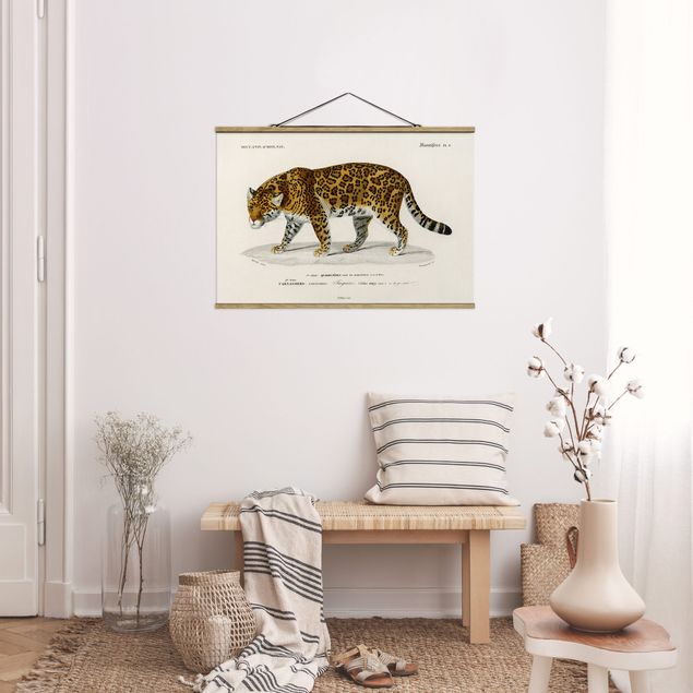 Wandbilder Tiger Vintage Lehrtafel Jaguar