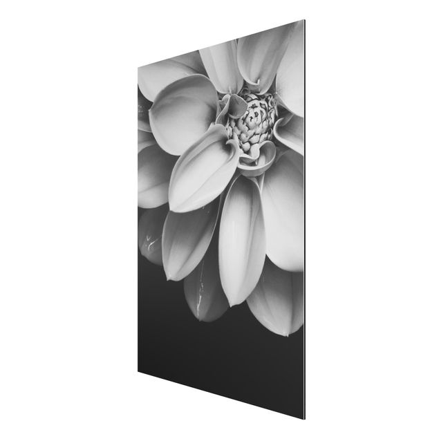 Wandbilder Blumen Im Herzen einer Dahlie Schwarz-Weiß