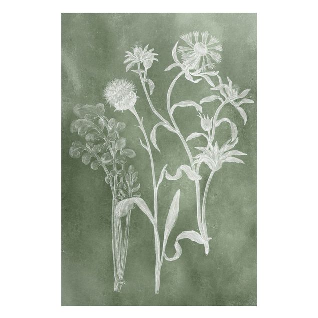 Magnettafeln Blumen Vintage Illustration Salbei II