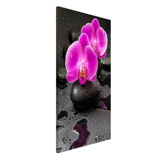 Wandbilder Orchideen Pinke Orchideenblüten auf Steinen mit Tropfen