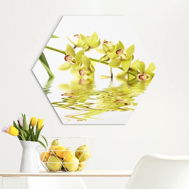 Küche Dekoration Elegant Orchid Waters